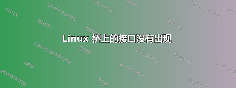 Linux 桥上的接口没有出现