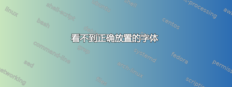 看不到正确放置的字体