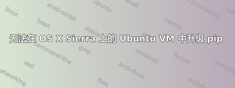 无法在 OS X Sierra 上的 Ubuntu VM 中升级 pip