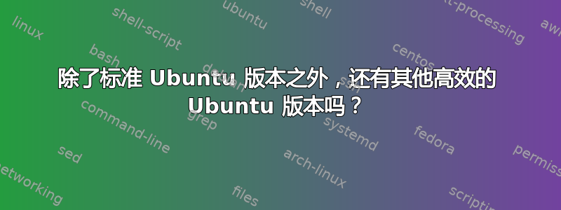 除了标准 Ubuntu 版本之外，还有其他高效的 Ubuntu 版本吗？