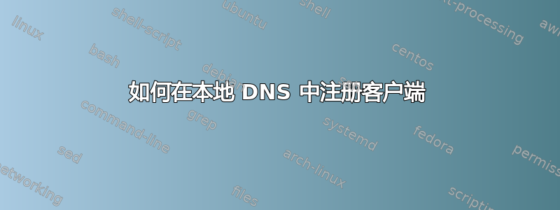 如何在本地 DNS 中注册客户端