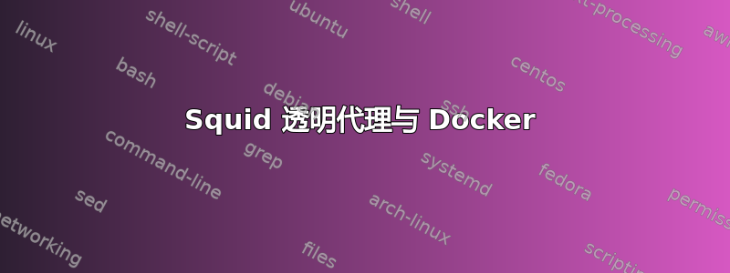 Squid 透明代理与 Docker