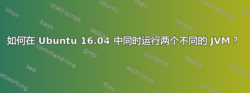 如何在 Ubuntu 16.04 中同时运行两个不同的 JVM？