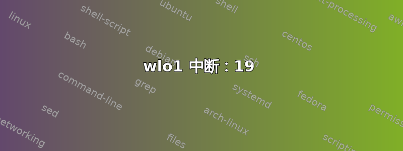 wlo1 中断：19