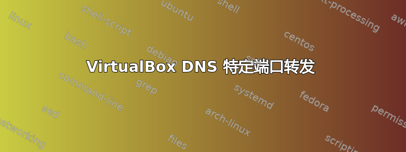 VirtualBox DNS 特定端口转发