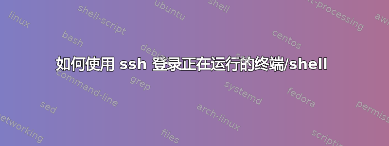 如何使用 ssh 登录正在运行的终端/shell