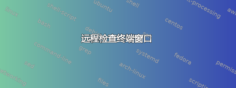 远程检查终端窗口