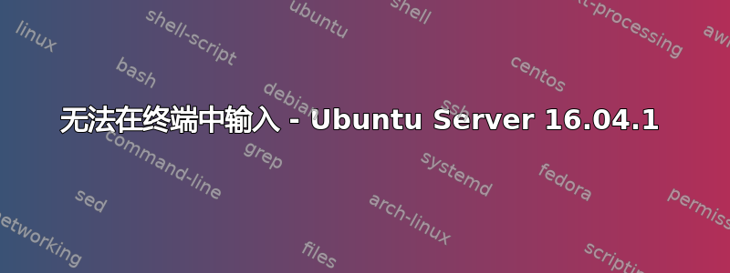 无法在终端中输入 - Ubuntu Server 16.04.1