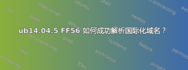 ub14.04.5 FF56 如何成功解析国际化域名？