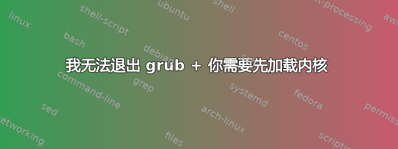 我无法退出 grub + 你需要先加载内核