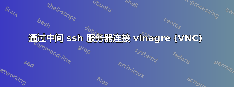 通过中间 ssh 服务器连接 vinagre (VNC)