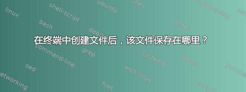 在终端中创建文件后，该文件保存在哪里？