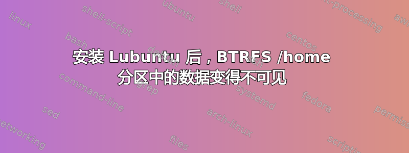 安装 Lubuntu 后，BTRFS /home 分区中的数据变得不可见