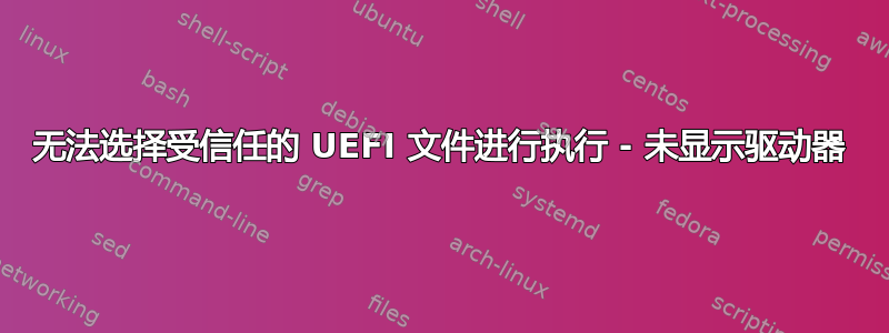 无法选择受信任的 UEFI 文件进行执行 - 未显示驱动器