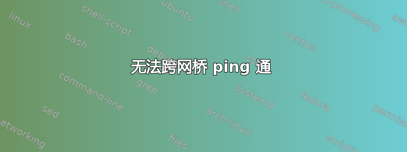 无法跨网桥 ping 通