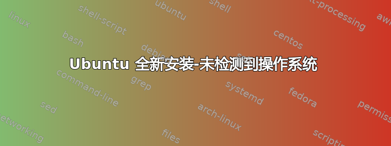 Ubuntu 全新安装-未检测到操作系统