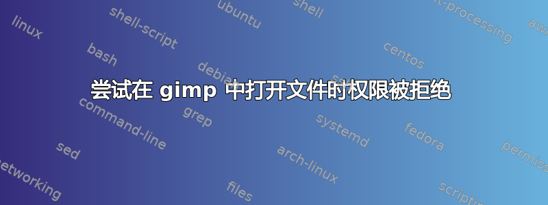 尝试在 gimp 中打开文件时权限被拒绝