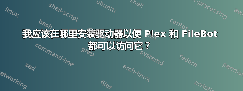 我应该在哪里安装驱动器以便 Plex 和 FileBot 都可以访问它？