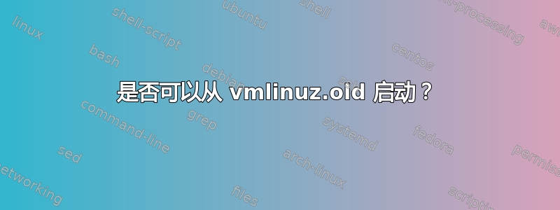 是否可以从 vmlinuz.old 启动？