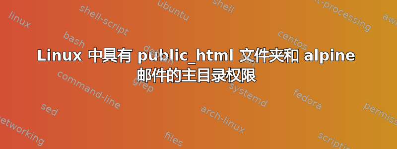 Linux 中具有 public_html 文件夹和 alpine 邮件的主目录权限