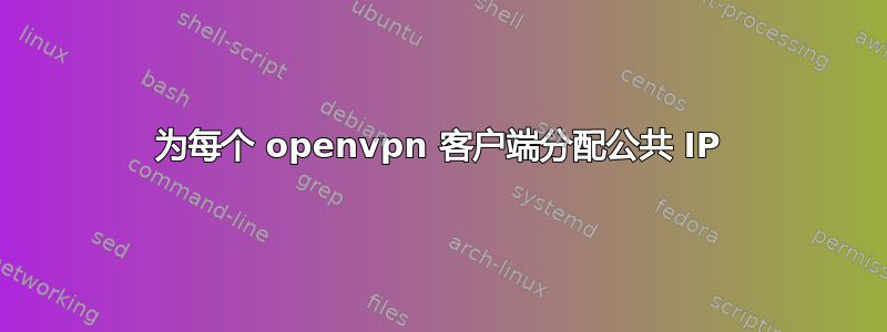 为每个 openvpn 客户端分配公共 IP