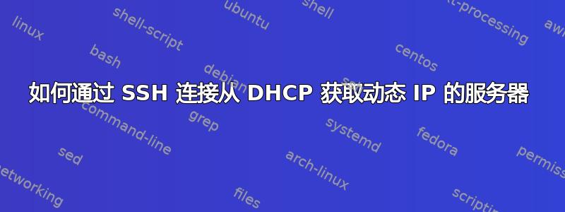 如何通过 SSH 连接从 DHCP 获取动态 IP 的服务器