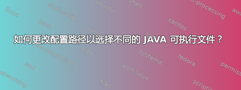 如何更改配置路径以选择不同的 JAVA 可执行文件？