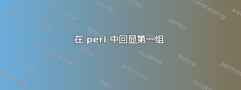 在 perl 中回显第一组