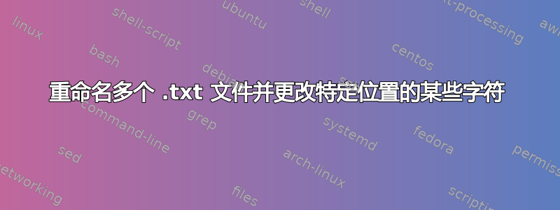 重命名多个 .txt 文件并更改特定位置的某些字符