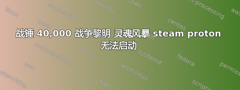 战锤 40,000 战争黎明 灵魂风暴 steam proton 无法启动