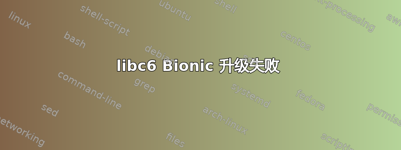 libc6 Bionic 升级失败