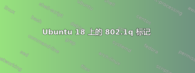 Ubuntu 18 上的 802.1q 标记