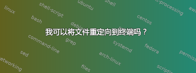 我可以将文件重定向到终端吗？