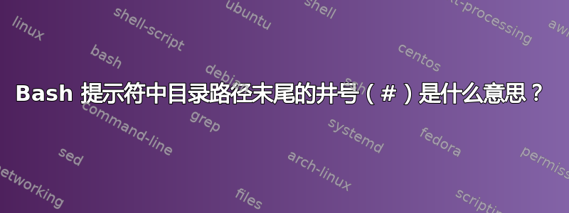 Bash 提示符中目录路径末尾的井号（#）是什么意思？