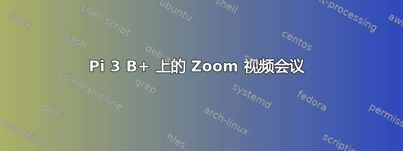 Pi 3 B+ 上的 Zoom 视频会议 