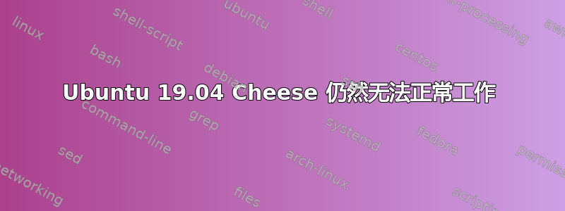 Ubuntu 19.04 Cheese 仍然无法正常工作