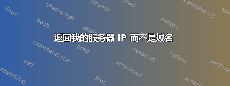 返回我的服务器 IP 而不是域名