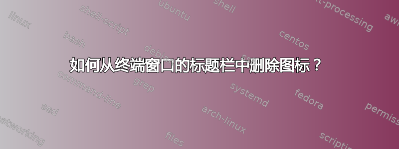 如何从终端窗口的标题栏中删除图标？