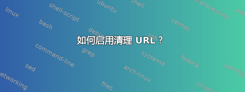 如何启用清理 URL？