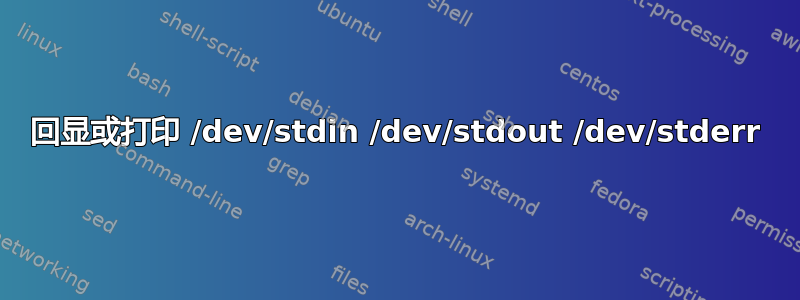 回显或打印 /dev/stdin /dev/stdout /dev/stderr