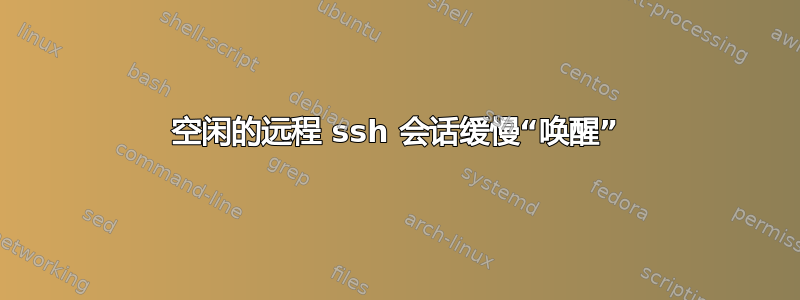 空闲的远程 ssh 会话缓慢“唤醒”