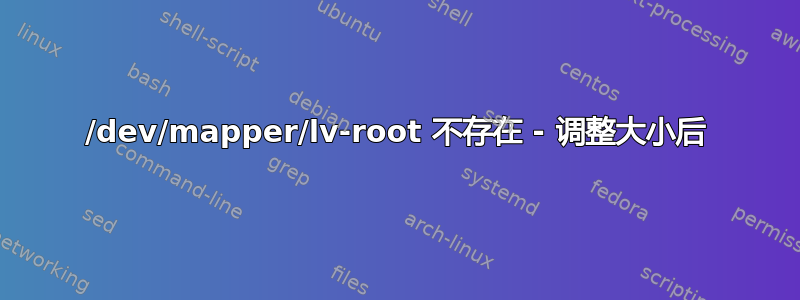 /dev/mapper/lv-root 不存在 - 调整大小后