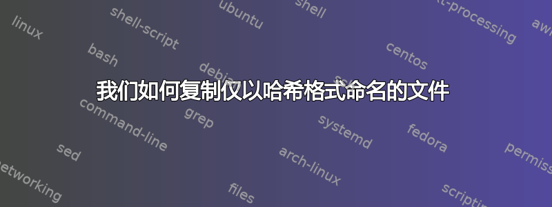 我们如何复制仅以哈希格式命名的文件