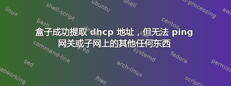 盒子成功提取 dhcp 地址，但无法 ping 网关或子网上的其他任何东西