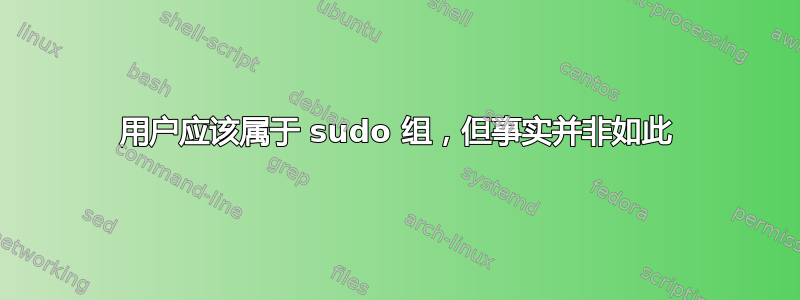 用户应该属于 sudo 组，但事实并非如此