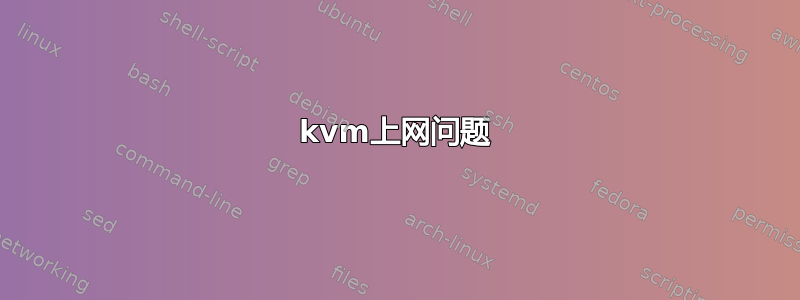 kvm上网问题