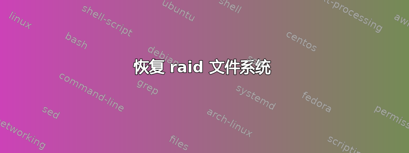 恢复 raid 文件系统