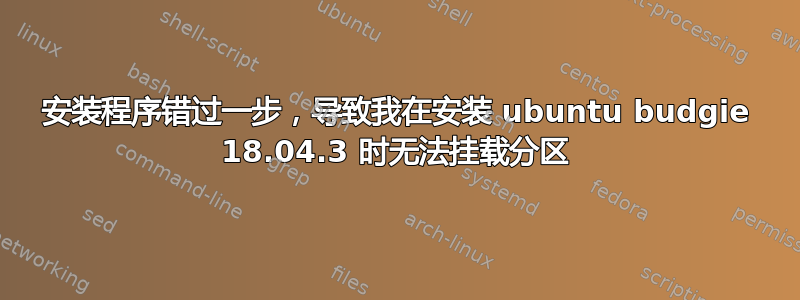 安装程序错过一步，导致我在安装 ubuntu budgie 18.04.3 时无法挂载分区