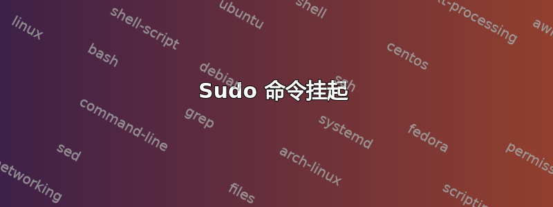 Sudo 命令挂起