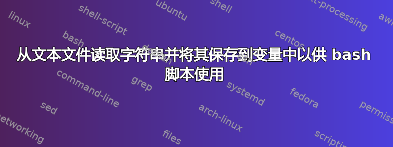 从文本文件读取字符串并将其保存到变量中以供 bash 脚本使用